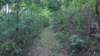img_20171007_131029683_small.jpg