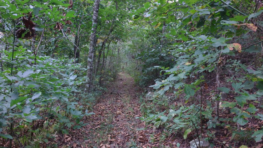 img_20171007_131141236.jpg