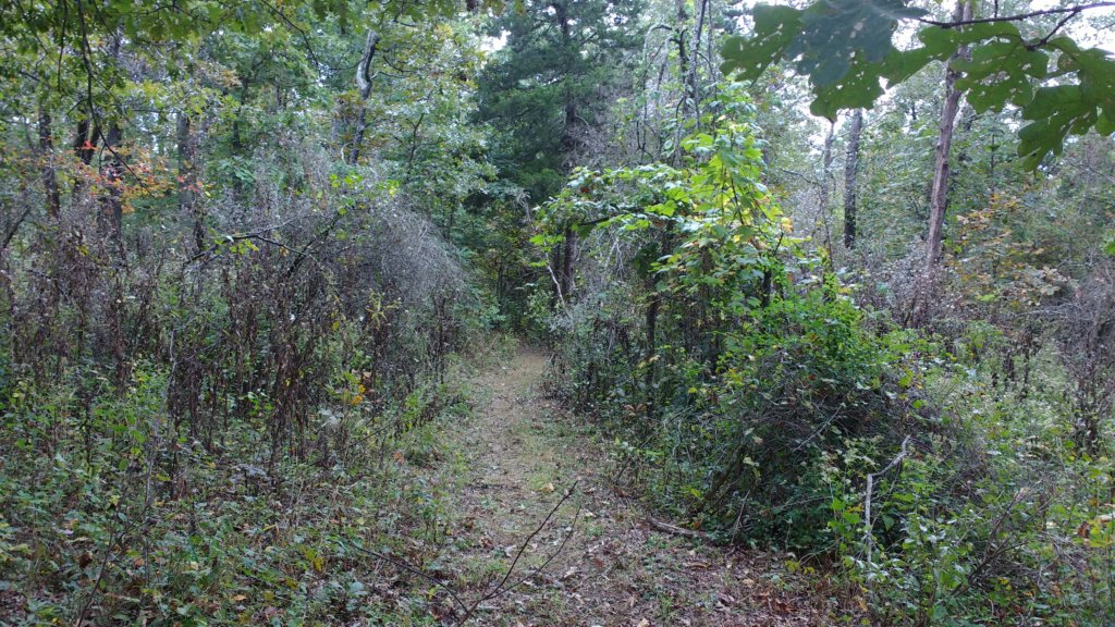 img_20171007_131814083.jpg