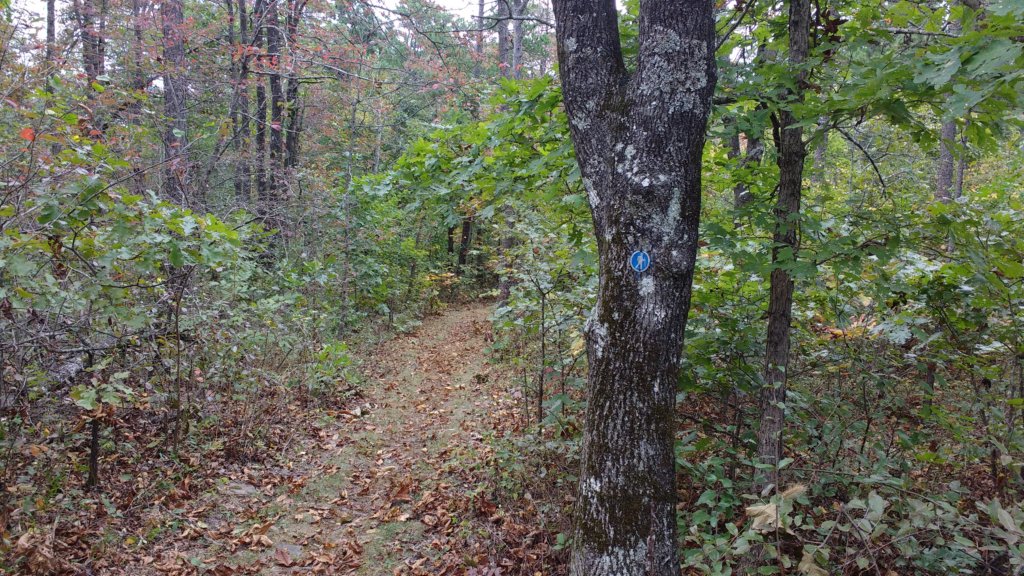 img_20171007_132044766.jpg