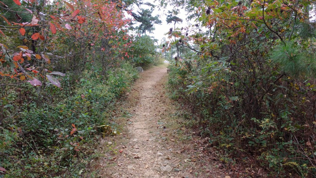 img_20171007_132924010.jpg