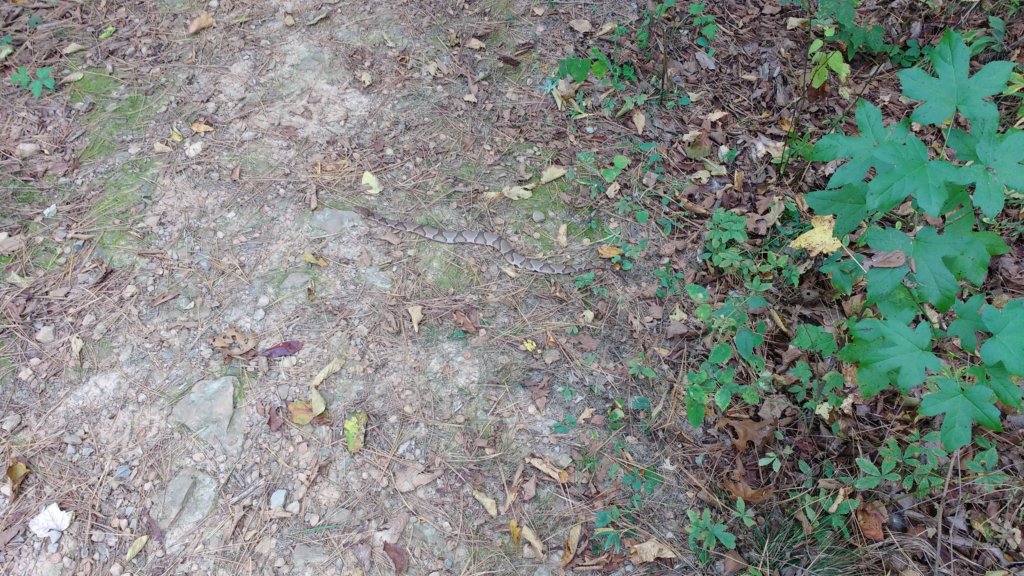 img_20171007_133726196.jpg