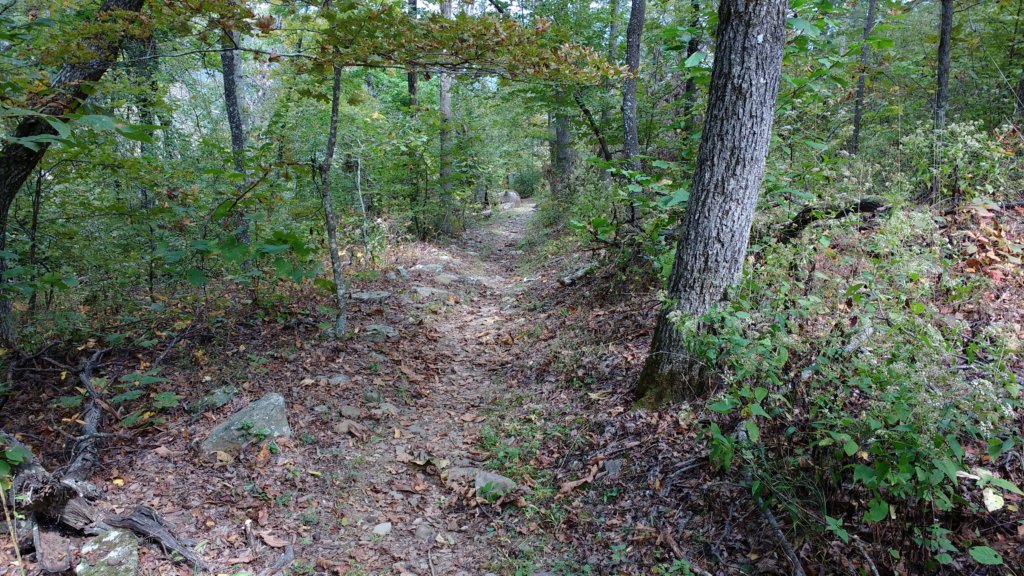 img_20171007_134241859.jpg