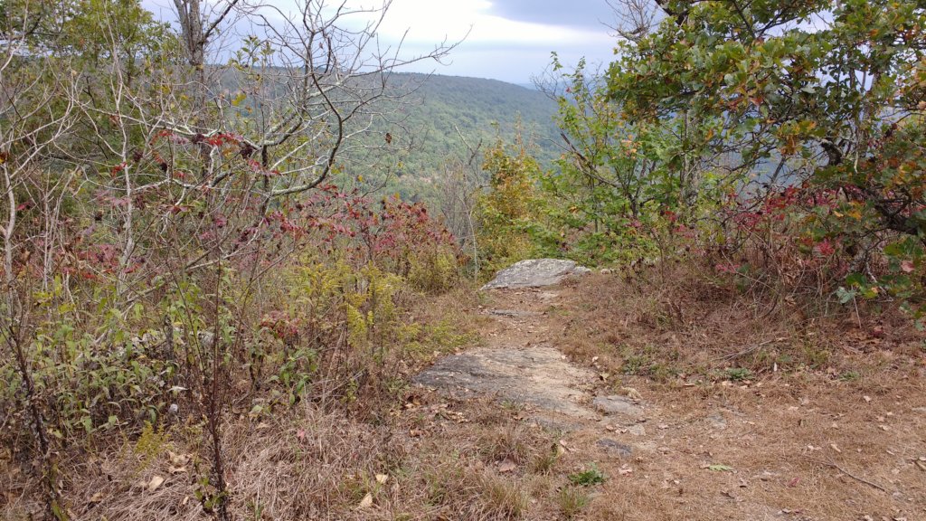 img_20171007_134409864.jpg