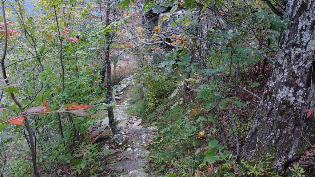 img_20171007_134843750.jpg