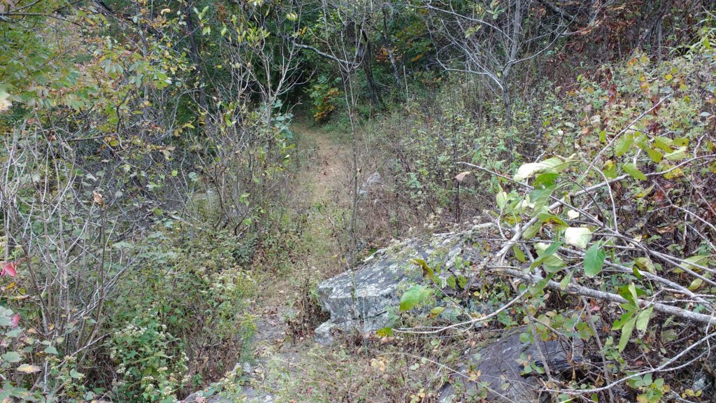img_20171007_135147927.jpg