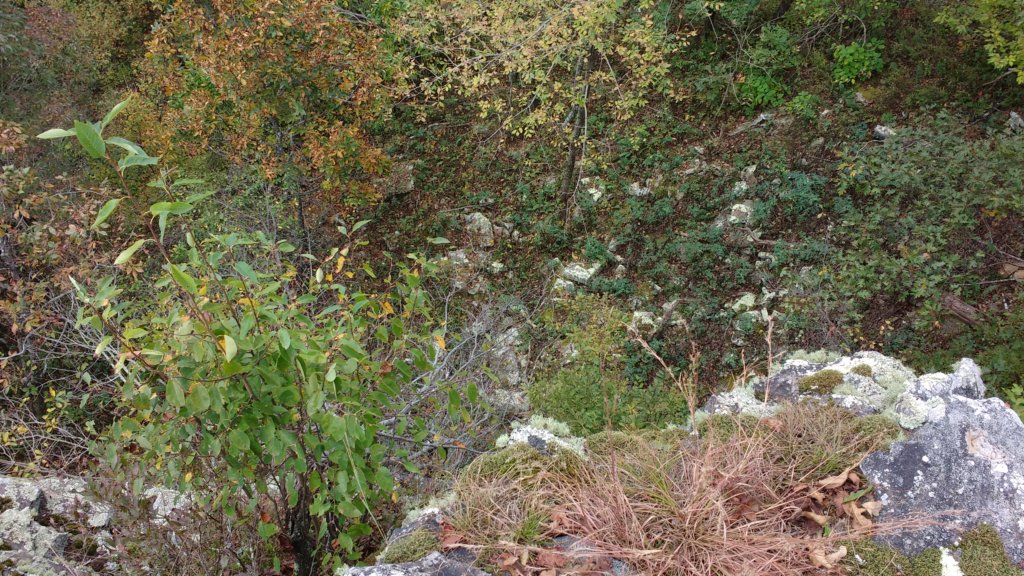 img_20171007_135431495.jpg