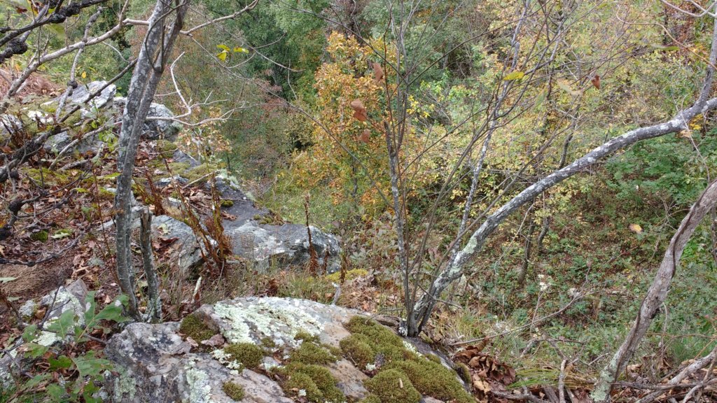 img_20171007_135542129.jpg