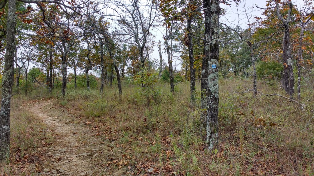 img_20171007_140651796_hdr.jpg