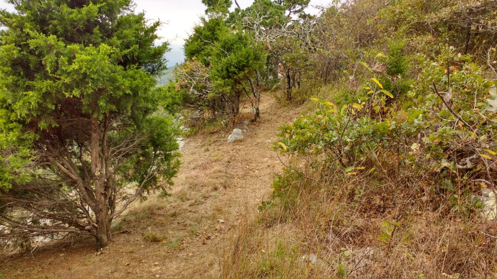 img_20171007_141445104_hdr.jpg