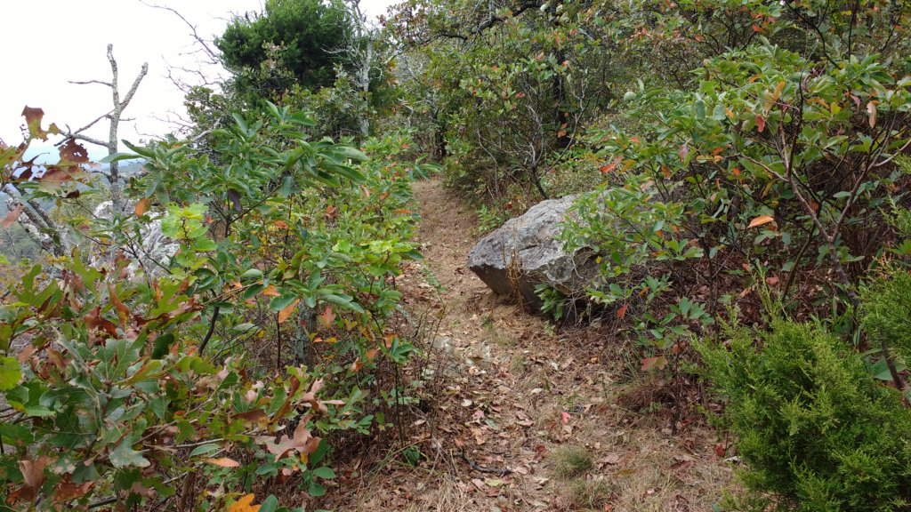 img_20171007_141631294.jpg