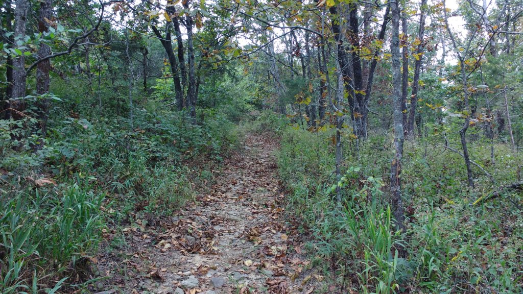 img_20171007_144443610.jpg