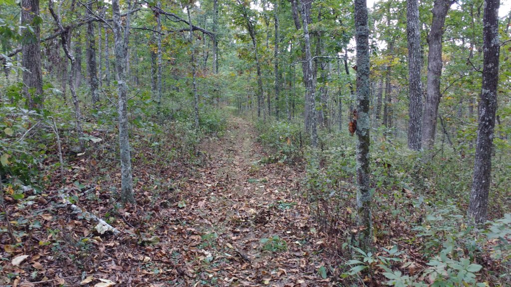 img_20171007_145849752.jpg