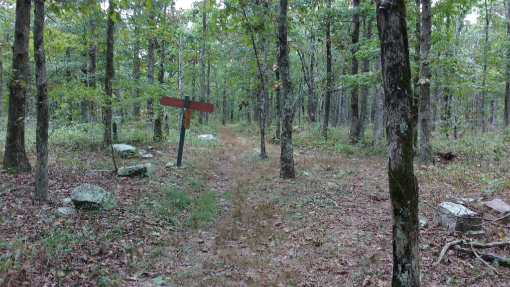 img_20171007_150440075.jpg