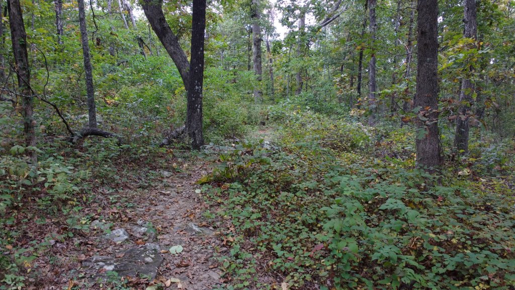 img_20171007_151314053.jpg