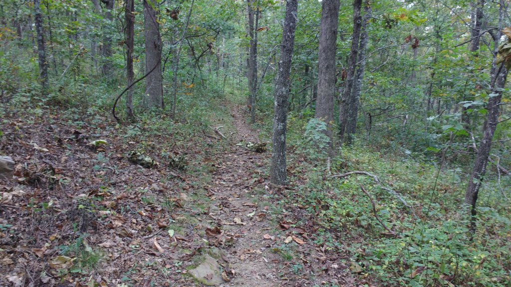 img_20171007_151434691.jpg
