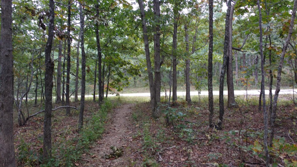 img_20171007_152647269.jpg