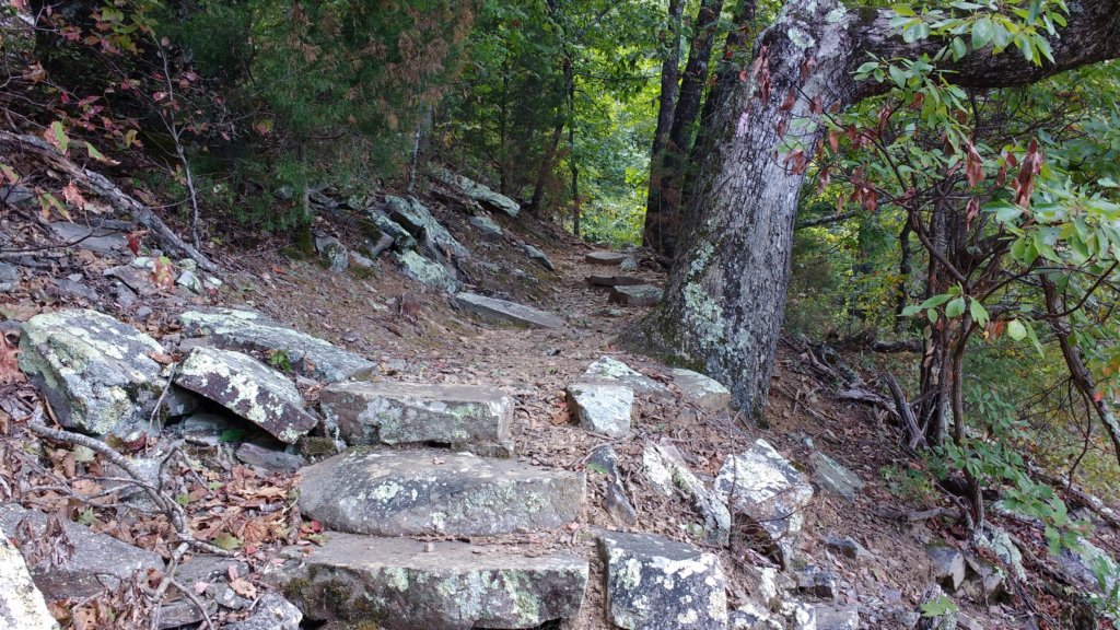 img_20170916_123253637.jpg
