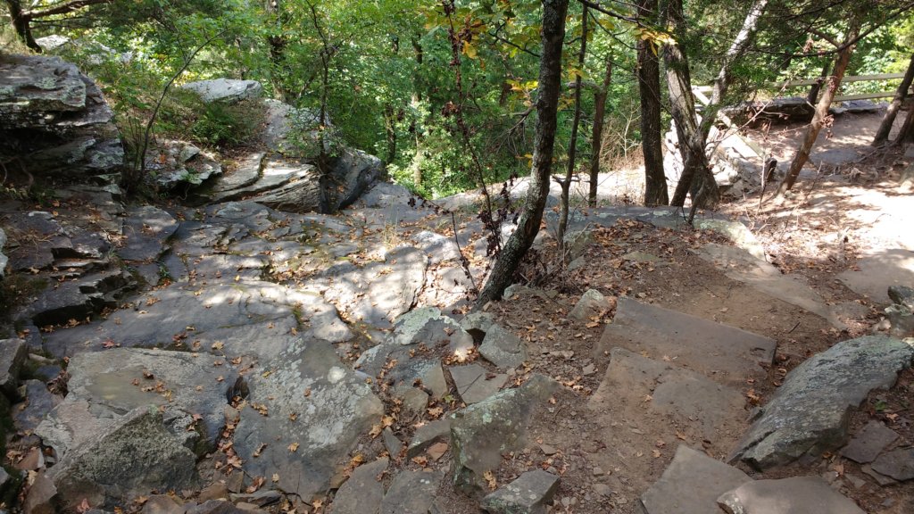 img_20170916_124637269.jpg