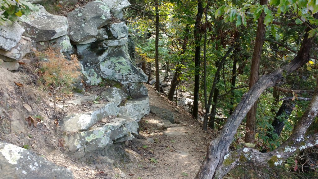 img_20170916_125129638.jpg