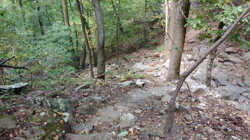 img_20170916_125248084.jpg