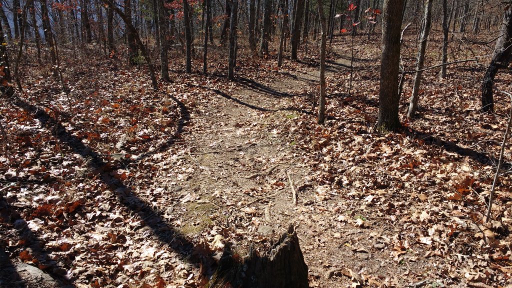 img_20171119_113646984.jpg