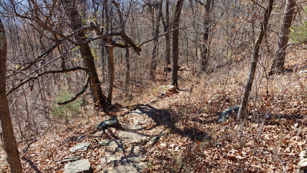 img_20171119_113959475.jpg