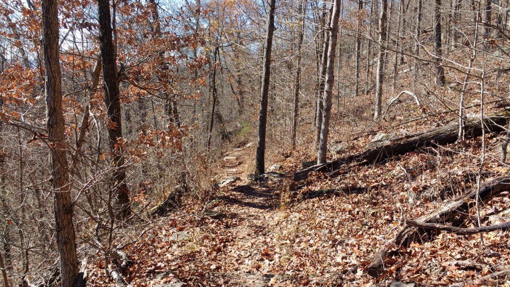 img_20171119_114225634.jpg