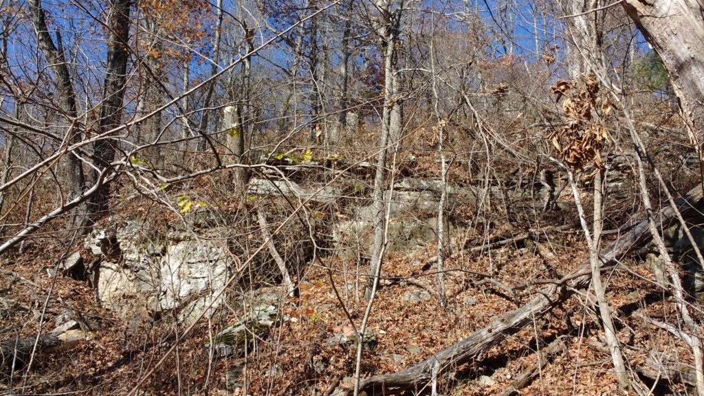 img_20171119_114401639.jpg