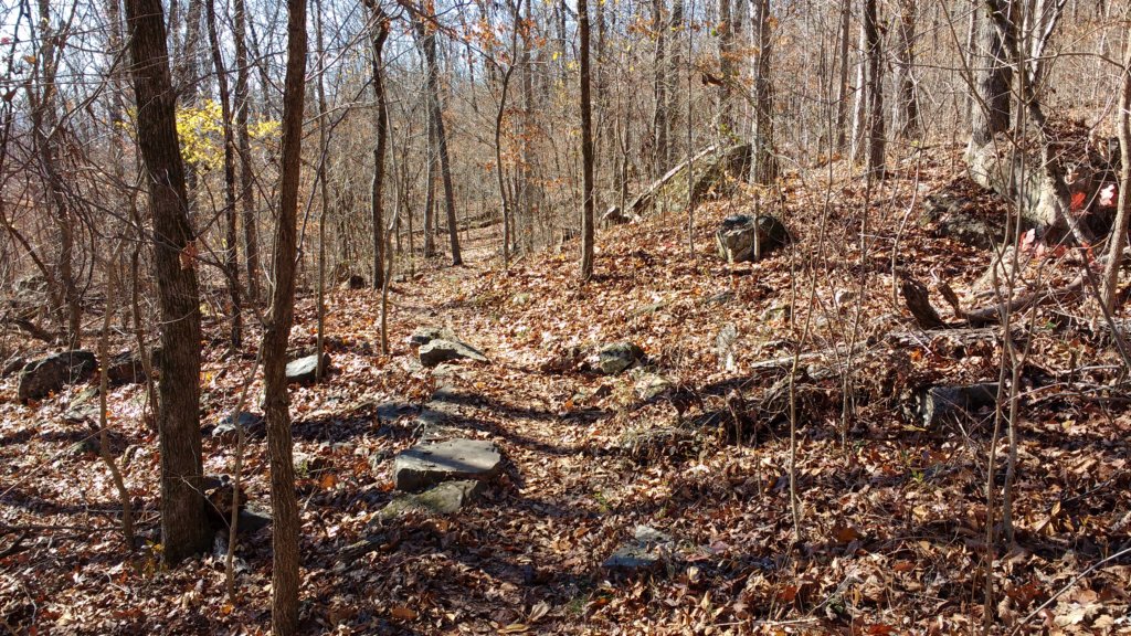 img_20171119_114625656.jpg