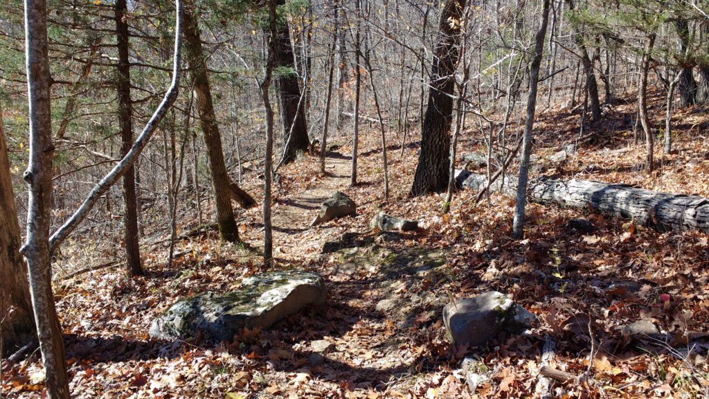 img_20171119_115420625.jpg