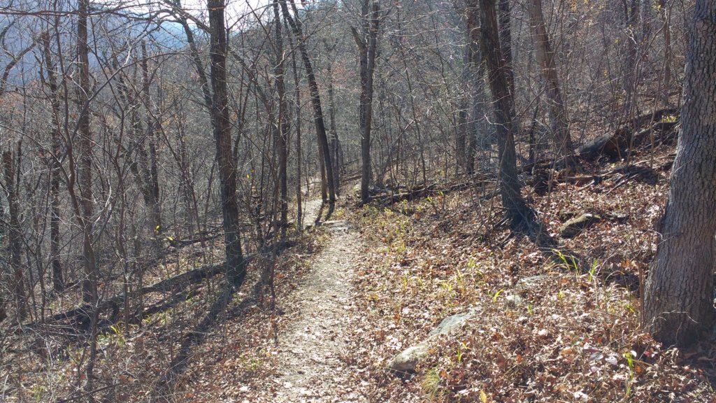 img_20171119_120054600.jpg