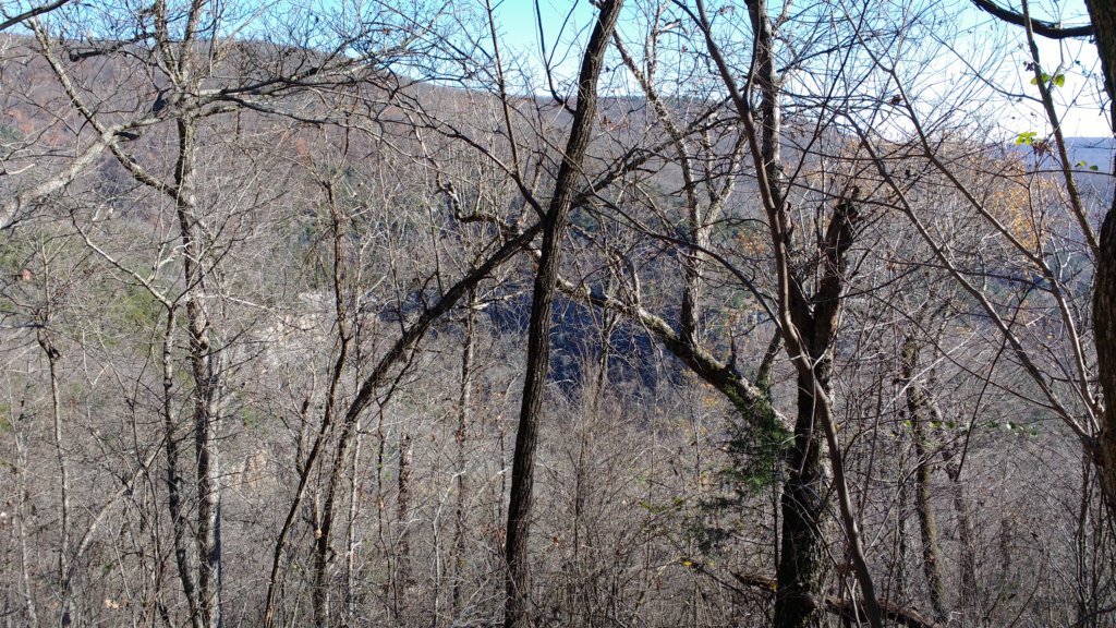 img_20171119_120659286.jpg