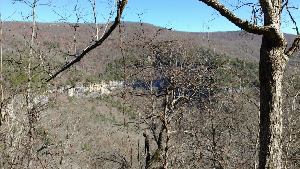 img_20171119_121134761.jpg
