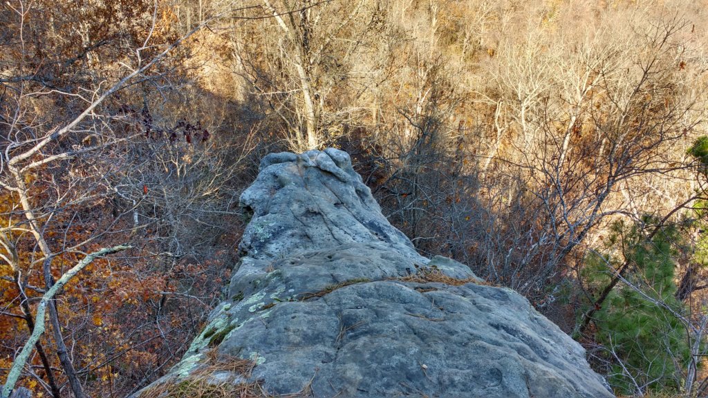 img_20171119_121933926_hdr.jpg