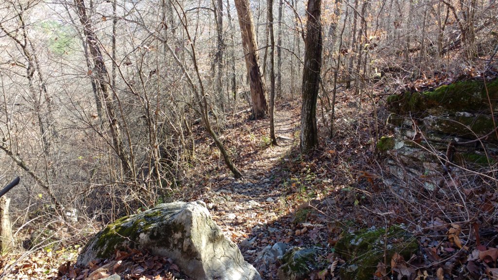 img_20171119_122806359.jpg