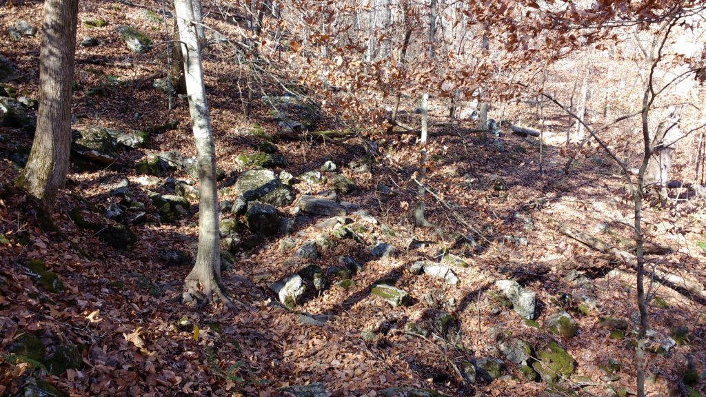 img_20171119_123654341.jpg