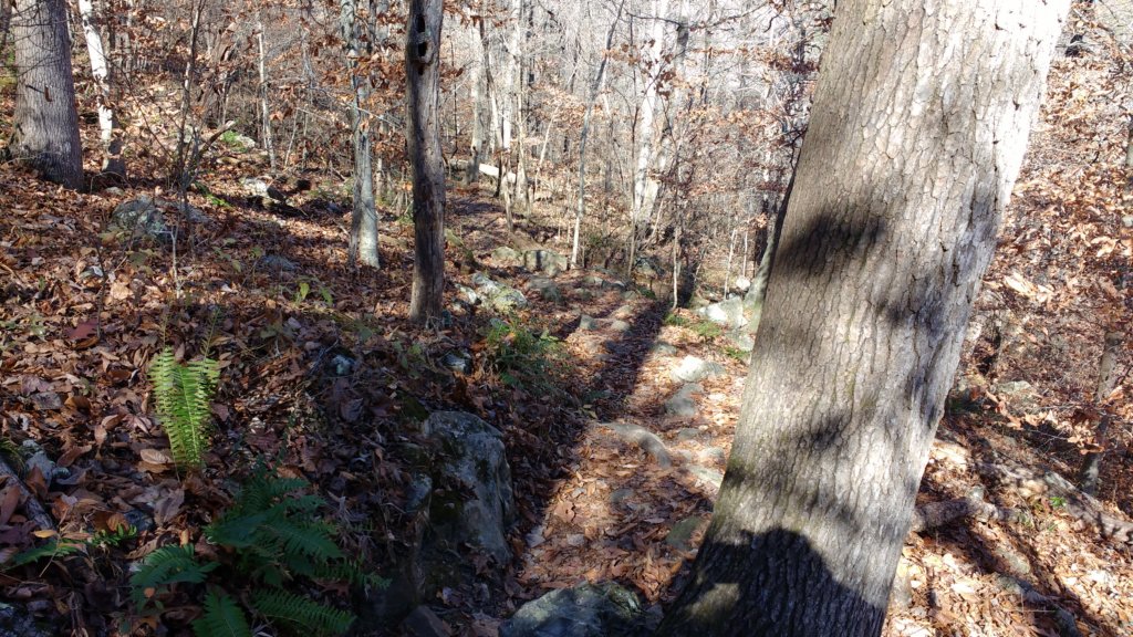 img_20171119_123812006.jpg