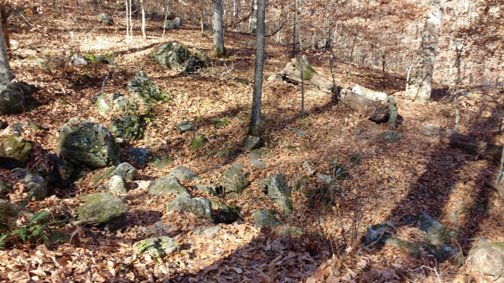 img_20171119_124234972.jpg
