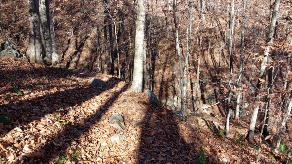 img_20171119_124400115.jpg