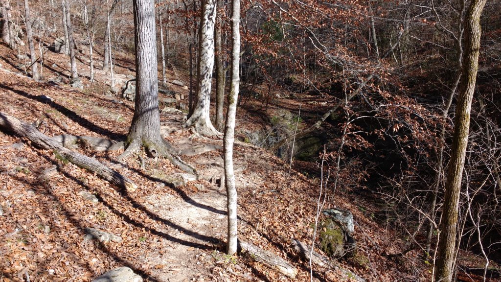 img_20171119_125124551.jpg