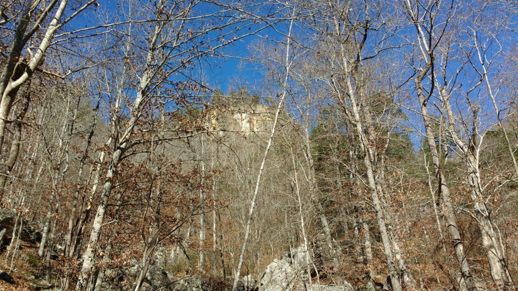 img_20171119_125210992.jpg