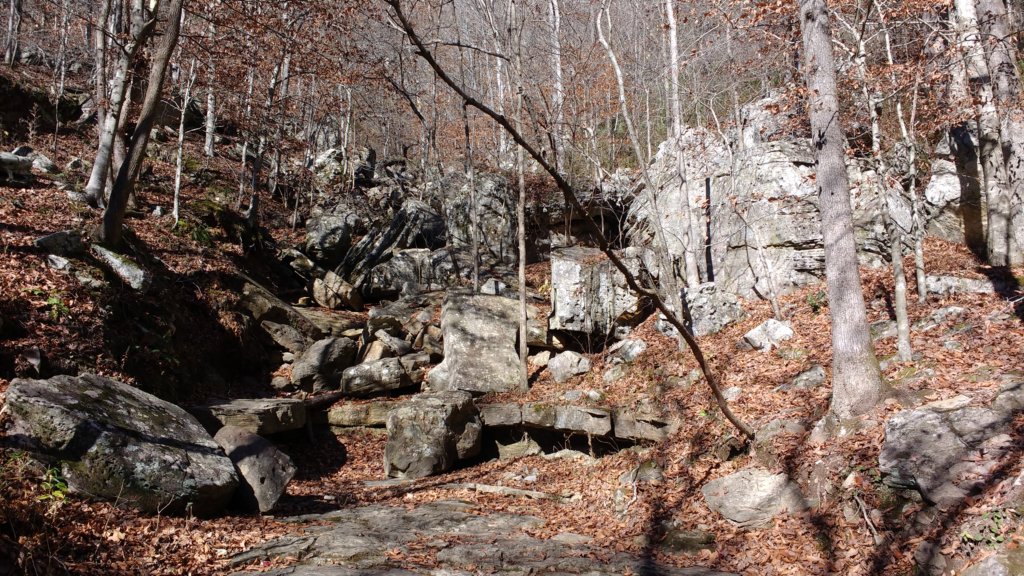 img_20171119_125226861.jpg