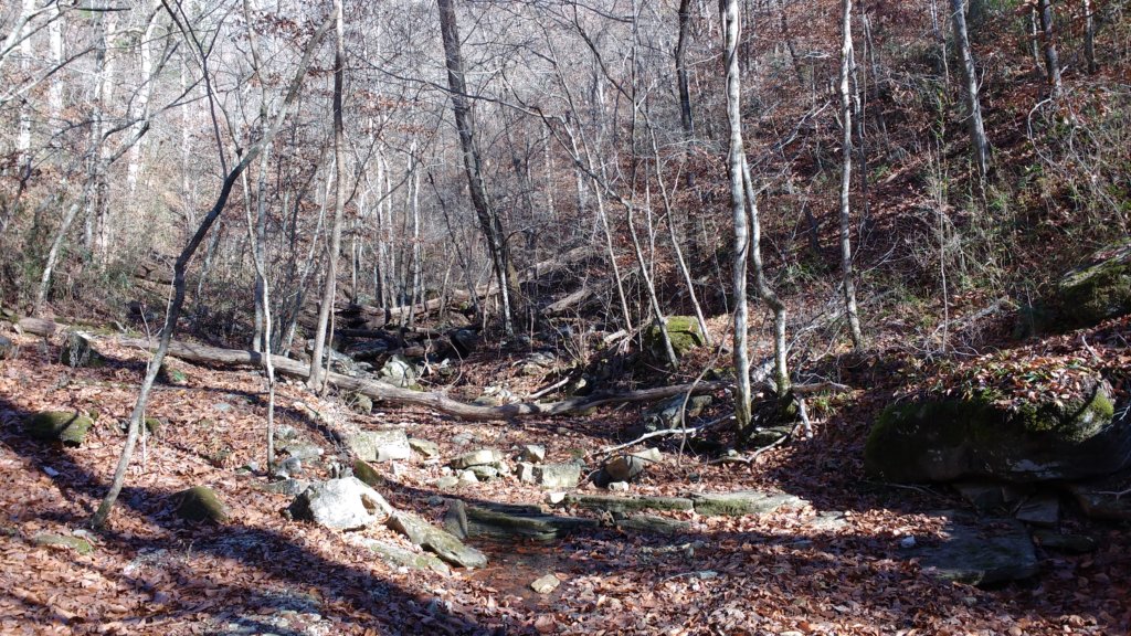 img_20171119_125305048.jpg