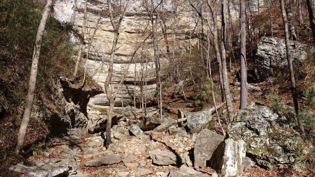 img_20171119_125840785.jpg
