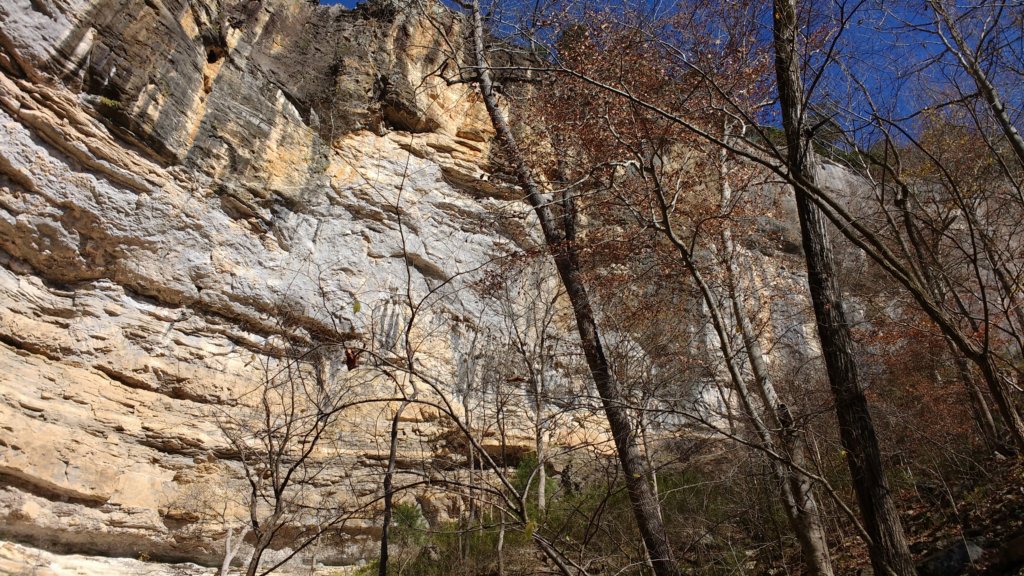 img_20171119_130733959.jpg