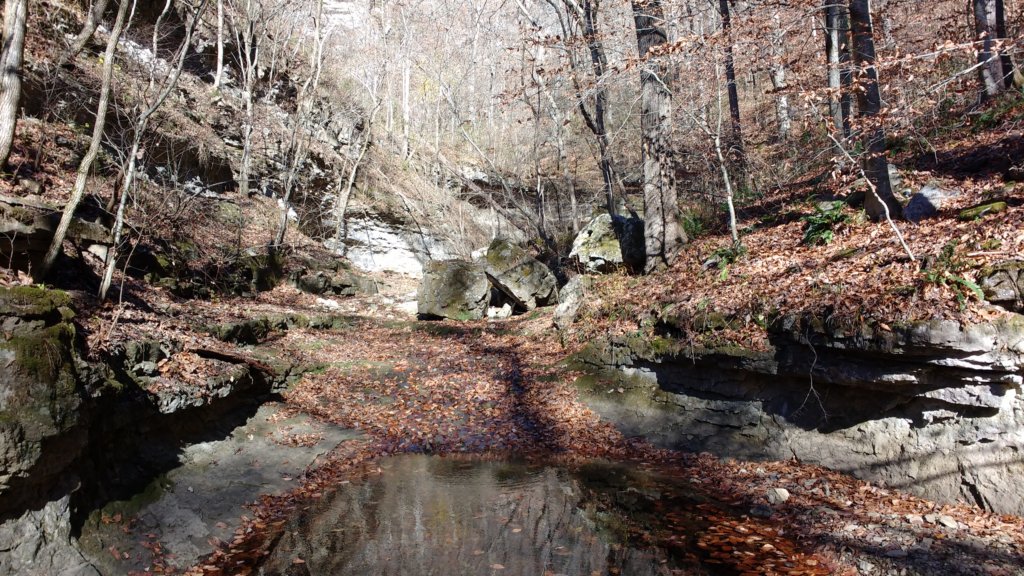 img_20171119_131712501.jpg