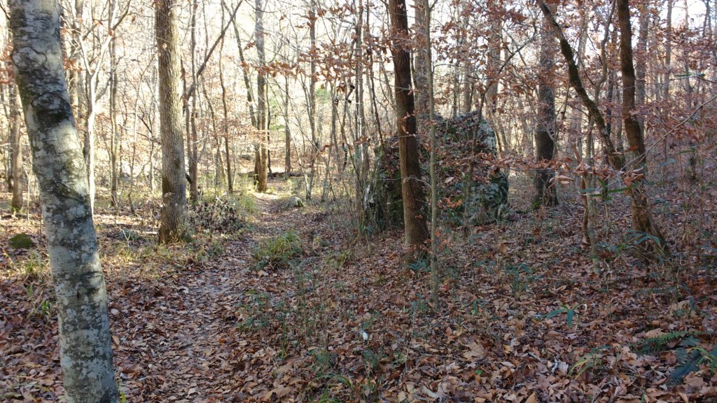img_20171119_133553699.jpg