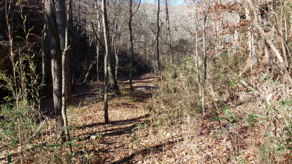 img_20171119_134535494.jpg