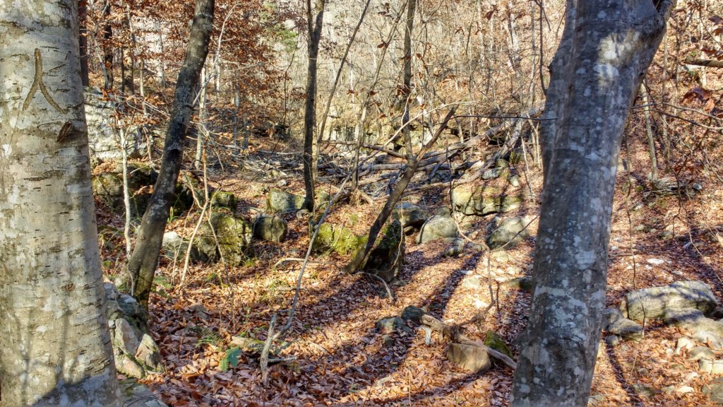 img_20171119_135159257_hdr.jpg